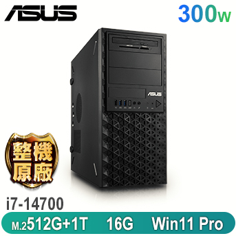 ASUS 華碩 E500G9 14代工作站